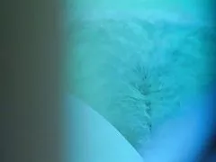 Порно видео онлайн mature Волосатые блондинки загар в тренажерный зал